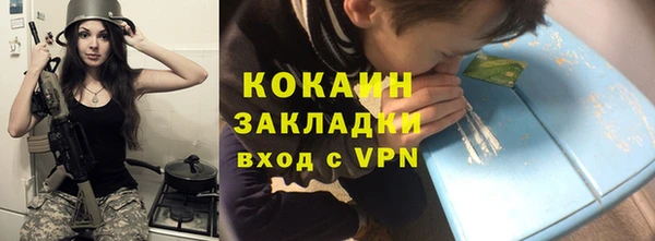 шишки Бородино