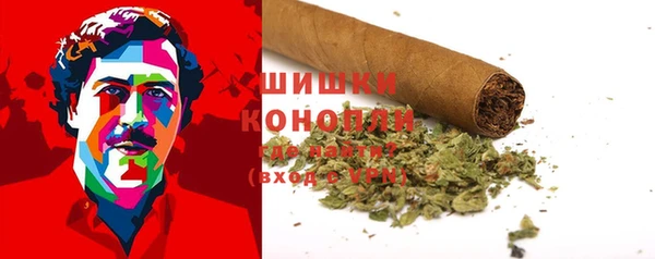 шишки Бородино