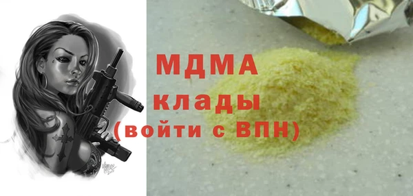 шишки Бородино