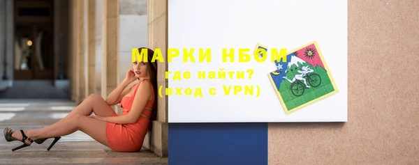 шишки Бородино