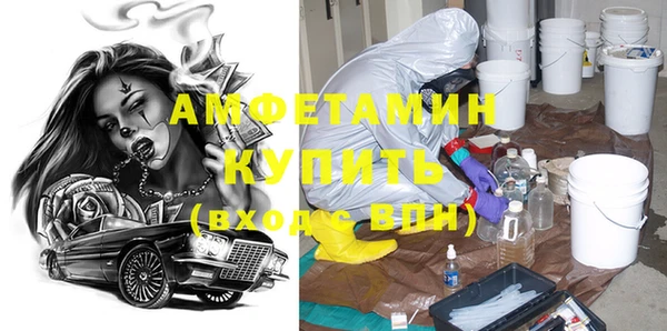 шишки Бородино