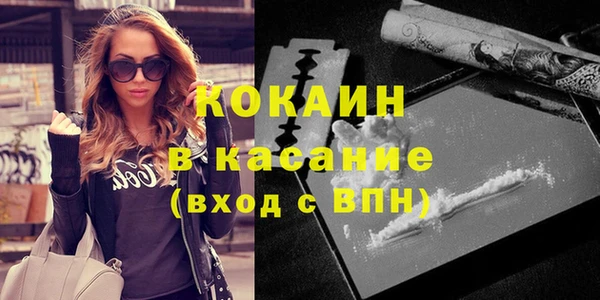 шишки Бородино