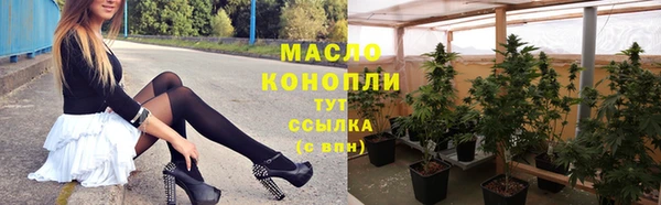 шишки Бородино