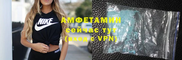 шишки Бородино