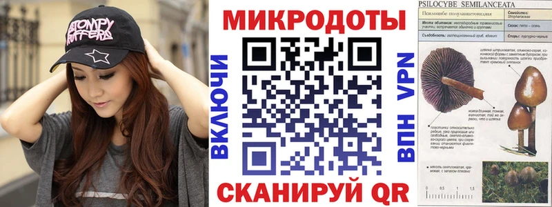 Галлюциногенные грибы Psilocybine cubensis  как найти закладки  Казань 